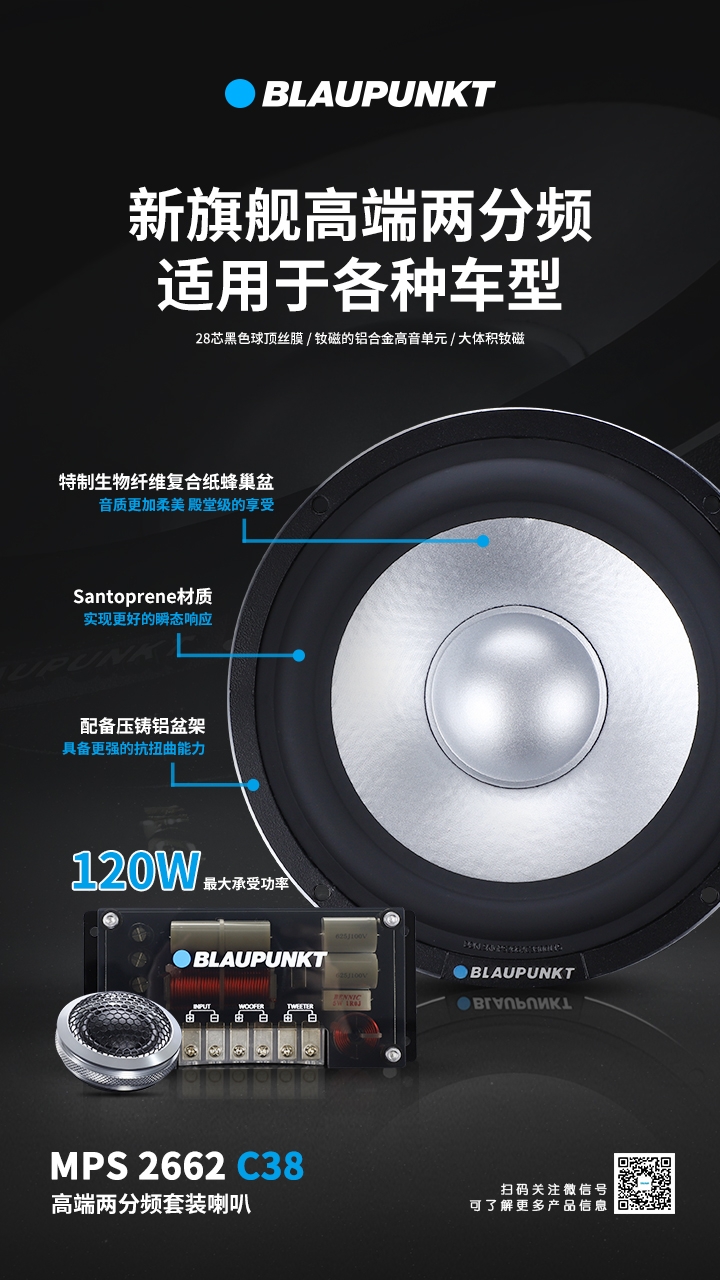 德國（藍(lán)寶BLAUPUNKT）MPS 2662 C38 新旗艦高端兩分頻